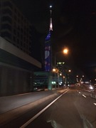 �⹻����������Τ�Ǻ�����̽�