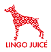 Lingo Juice Dress