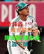 韓国・台湾野球の応援が好き