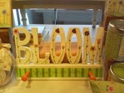 BLOOM�ʥ֥롼���