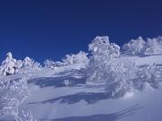 ���߲��繥��