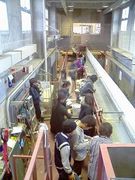 �����Ω��ء����ۡ����ڹ��ء�