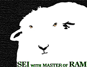 SEI WITH MASTER OF RAM