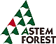 ƥե쥹 2008