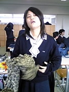 ��������(�ߢ���)