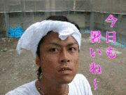ǭ�ȡ�(��`����)��P���벼����