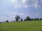 GRASS GO()