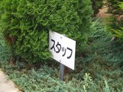 �ǣ��ӣţӡ�23(twenty-three)