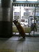THE��ZOO