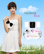 incanto bloom