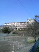 ���䤳��31����