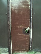 Cellar  Door