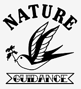 NATURE-movement-