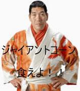 �Ǥä��������褦