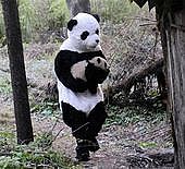 �ॵ���Ӱɿ�Ʀ����