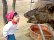 ������ؤɡ���ɡ����