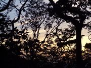 Night Picnic