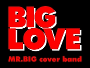 BIG LOVEMR.BIG cover band