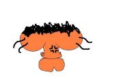 ���嶳ʿ
