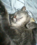 �����ǥ�����?��?