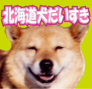 北海道犬（アイヌ犬）だいすき！