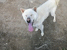 �դȤ�