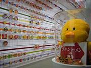 ���祼�ߡ��ե��ɥ꡼��19����