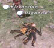 FF11 in ǻ