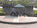 shogi