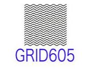 GRID605