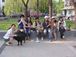 北京犬の会