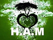 H.A.M-ޫԺ