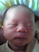 �٥ӡ��ޥå���������in�����