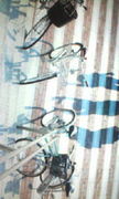 Charite(������)