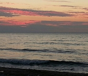 ����γ���į����