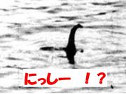 �ڥ˥å��͡���ۡ��ˤä����β�