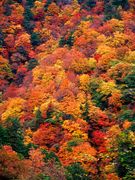 演劇声優科１１期Ｄ１ゼミ