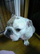 �����̥�(^_-)������ƥ���