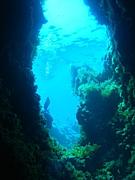 Diving in Malta