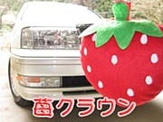 �����饦�� *S15*