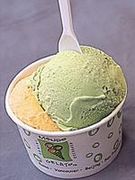 Mondo gelato LOVE♡