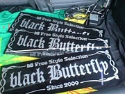 black Butterfly