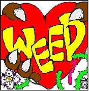 ＷＥＥＤ（ｳｨｰﾄﾞ）