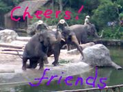 gather for making friends