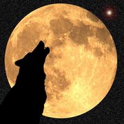 thirteen full moons