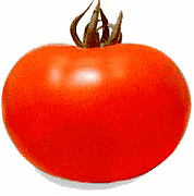 tomato hair