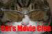 Cat's Movie Club