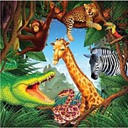 TEAM��SAFARI