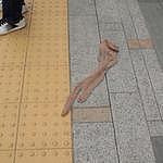 �ѥ󥹥Ȥξ��줿�����繥����