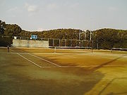 堺東高校硬式テニス部！！